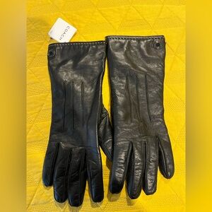 NWT COACH LEATHER WOMENS GLOVES SIZE LARGE.
